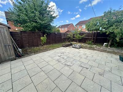 Picture 15